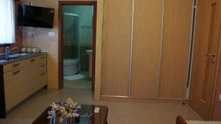 Апартаменты Apartments Dragović Nikšić Никшич Номер-студио (для 3 взрослых)-5