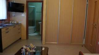 Апартаменты Apartments Dragović Nikšić Никшич Номер-студио (для 3 взрослых)-12